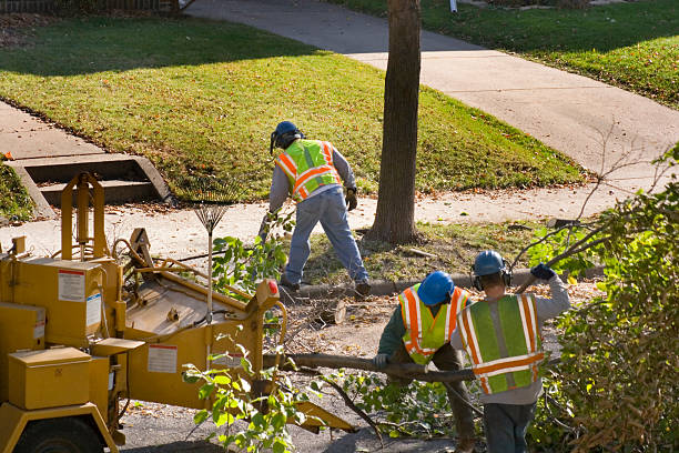 Soil Testing and Treatment in Greenville, RI